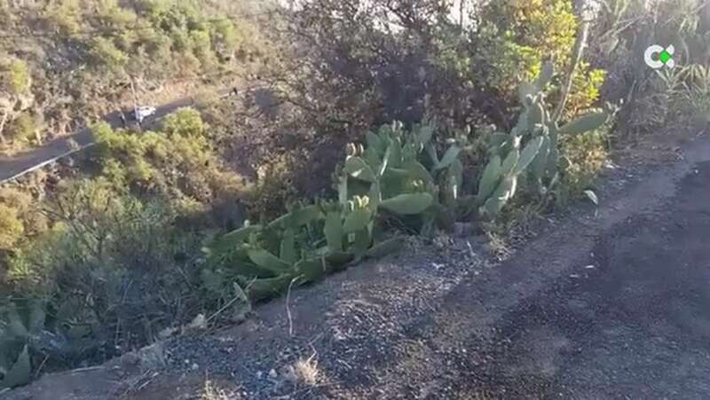 Barranco de Taucho (Foto RTVC)